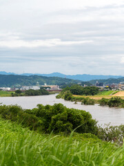 Fototapeta premium 増水した大和川と水没する河川敷の樹木