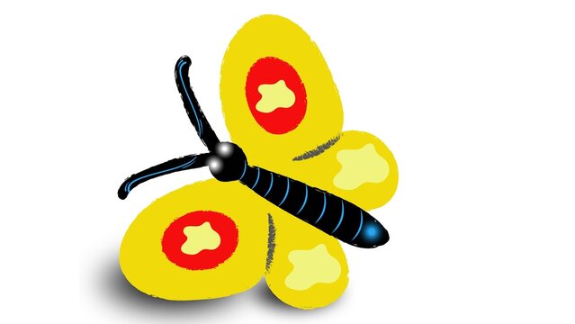 Butterfly b