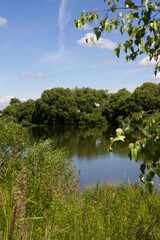 summer landscape with a river and trees on a background of blue sky