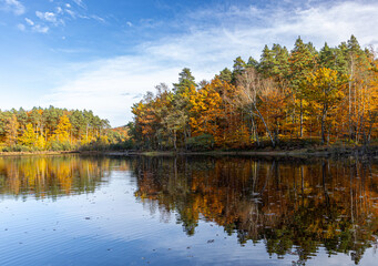 Piękny krajobraz jesienny z odbiciem w wodzie
