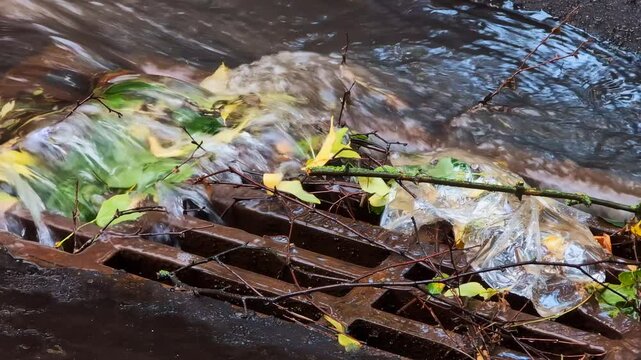 Storm drain partially blocked by leaves, branches, and a plastic bag. Water is flowing over the debris heavy rain or flooding blockage could potentially lead to drainage issues and localized flooding