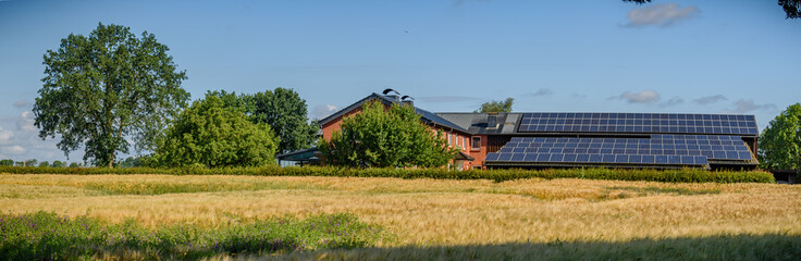 Сountryside landscape featuring a field of golden crops, a large tree, farm house and farm barn with solar panels on its roofs. Solar-powered farmhouse between golden fields of wheet. © snapshotfreddy