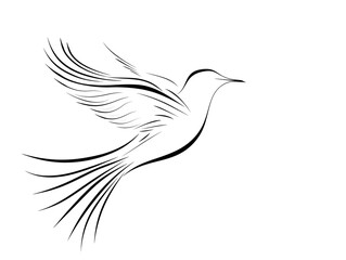 Fototapeta premium Sleek Minimalist Outline of a Graceful Bird in Flight on White Background