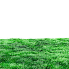 Green lawn grass fresh background