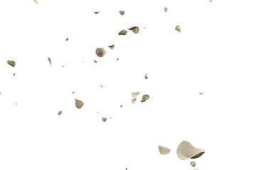 White roses petals flying overlay background romance