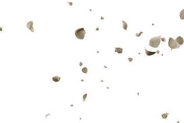 White roses petals flying overlay background romance