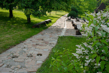Summer in a landscape park...Trees and bushes in green clothes.