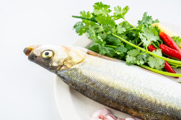 Fresh white fish and spices