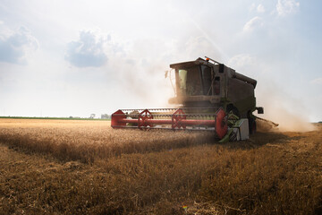 Harvester working in wheatfield at sunset.