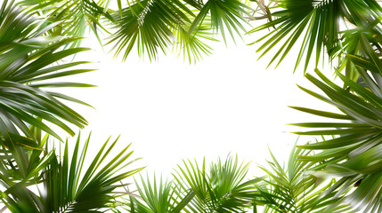 Palm leaves, monstera corner on isolated white background