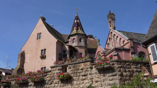 Eguisheim, France - June 18, 2024: Storks on rooftop of Church in Eguisheim
