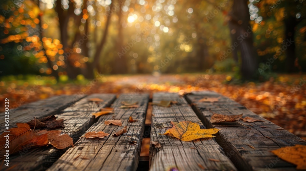 Poster the autumn leaves on bench