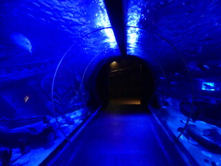 Tunnel Aquarium