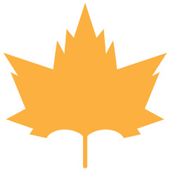 autumn maple leaf