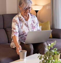 Fototapeta premium Senior attractive woman sitting on sofa at home working with laptop, elderly lady holding computer on her knees holding a coffee cup