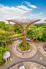 Gardens by the Bay and Skywalk at sunset in Marina Bay