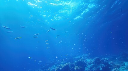 Fototapeta premium beautiful underwater background of the blue sea, on which tropical fish swim.