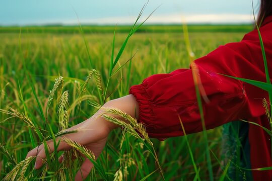 closeup shot hand with pady