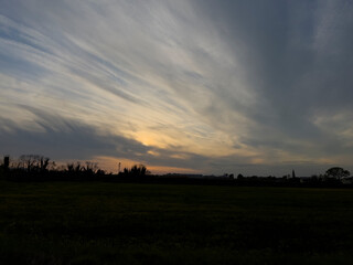 Sun setting over grassy field with trees in the background