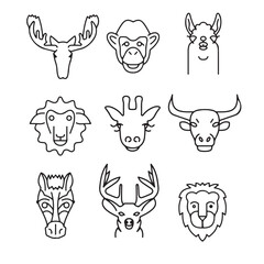 Obraz premium vector animal icon