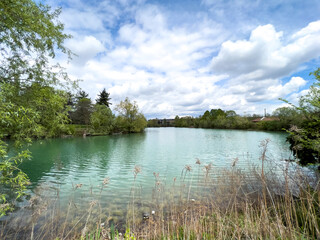 A large body of water is enclosed by trees on a cloudy day