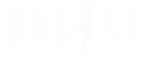 white vapor smoke raising set