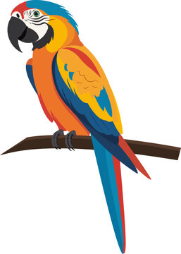 Ara parrot vector. Birds of Amazonian forests in flat design illustration. Fauna of South America. Flying colorful Ara parrot for icons, posters, children's books illustrating. Isolated on white.