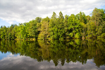 Obraz premium deep lake in the forest