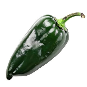 A single, ripe green poblano pepper isolate on white background