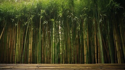 Fototapeta premium Beautiful Bamboo forest in Kyoto. Japan bamboo forest.
