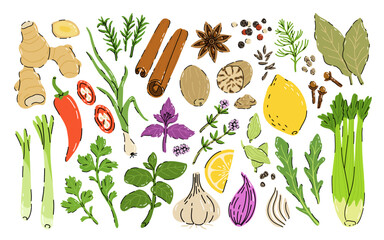 Spices and herbs set. Flat cartoon seasonings for spicy food at the kitchen. Cute culinary design elements for kitchen, menu, recipes. Pepper, anise, ginger, basil, cumin and others.