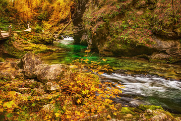 Vintgar gorge, Slovenia