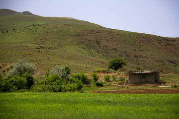 Cottages by the garden and beautiful nature around the city of Saqqez, Kurdistan province, Iran