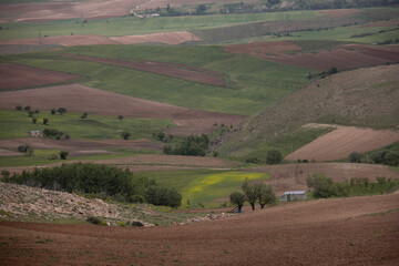 Fototapeta premium Cottages by the garden and beautiful nature around the city of Saqqez, Kurdistan province, Iran