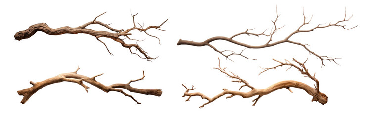 Natural wooden branches collection png set