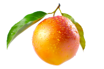 Ripe mango with green leaves and water drops isolated on white transparent background, colorful, organic, exotic, and delicious.