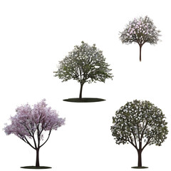 Stunning PNG of trees and flowers