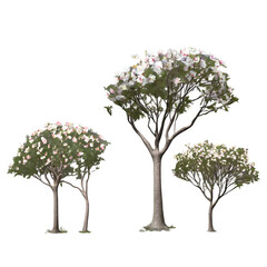 Stunning PNG of trees and flowers