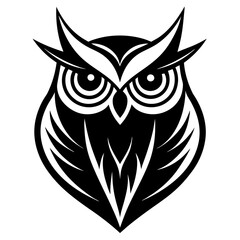 owl on white background