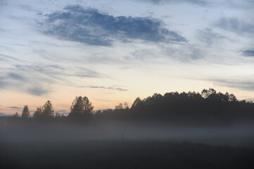 Foggy sunrise morning over the meadow with trees in the background and clouds in the sky