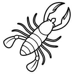 illustration of a shrimp
