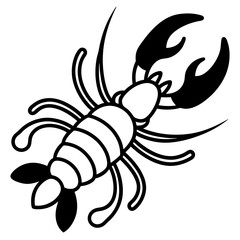 black and white spider