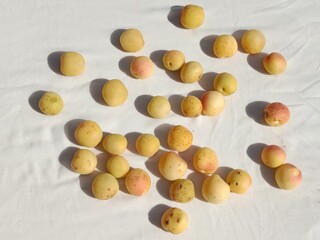 Apricot fruit isolated on white background.Prunus armeniaca fruit or Siberian Apricot fruit with white background 
