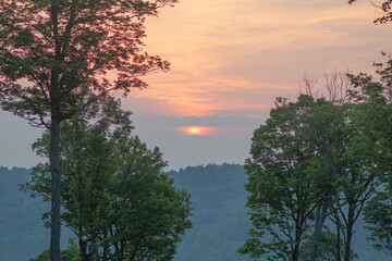 Obraz premium Morning sunrise woodland landscape fog, copy space selective focus natural background