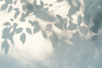 壁にうつる葉の影