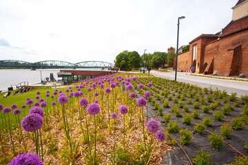 Kwiecisty bulwar w Toruniu, widok na most. Boulevard in Torun, Poland