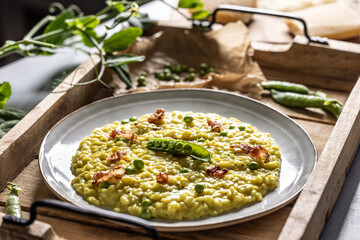 Italian saffron risotto with peas and bacon creatively served on a plate
