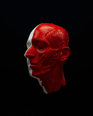 Red white anatomical head ecorche science biology cover 3d object black background quarter view 3d illustration render digital rendering