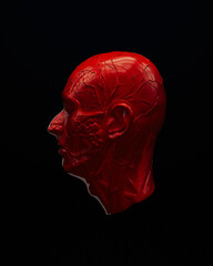 Red white anatomical head ecorche science biology cover 3d object black background side view 3d illustration render digital rendering