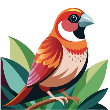 color parrotbill birds vector file 